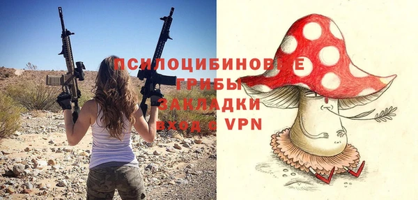 соль ск Алзамай