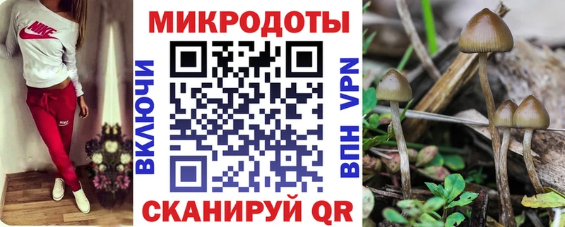где найти наркотики  Котельнич  Галлюциногенные грибы Psilocybine cubensis 